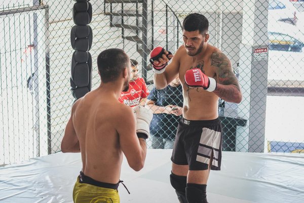 Découvrez les meilleures cages mma adaptées à tous les budgets